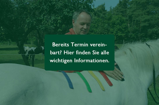 Alle wichtigen Infos zu Ihrem Satteltermin